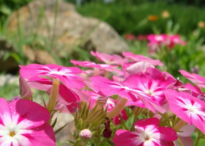 балнеохотел 